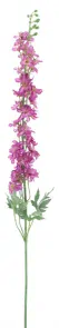 Stračka (Ostrožka) - Delphinium 'Akana' růžová V125 cm (N957287)