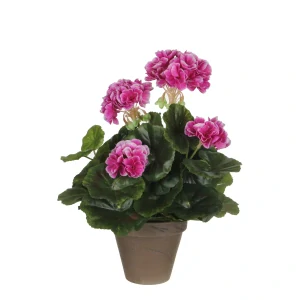 Pelargónie - Geranium H34, P20 cm fialová v květináči