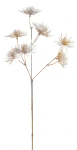 Mrkev obecná (flocked) hnědá V62 cm