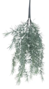 Borovice keř 'Lorch'  napudrované zelená Průměr 65 cm