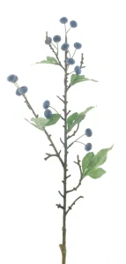 Borůvka velká spray černá/modrá