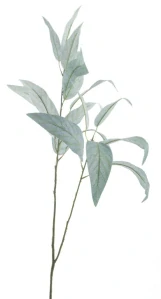 Blahovičník - Eukalyptus spray zelené V 105 cm