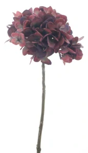 Podzimní hortenzia spray červená V 46 cm