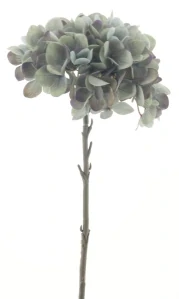 Podzimní hortenzia spray šedá V 46 cm