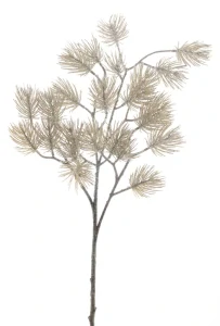 Borovice spray 'Engers' ojíněná hnědá V76 cm