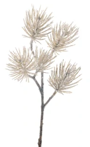 Borovice 'Erbach' ojíněná hnědá V28 cm