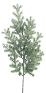 Jedlová větev 'Eltville' ojíněná zelená V50 cm