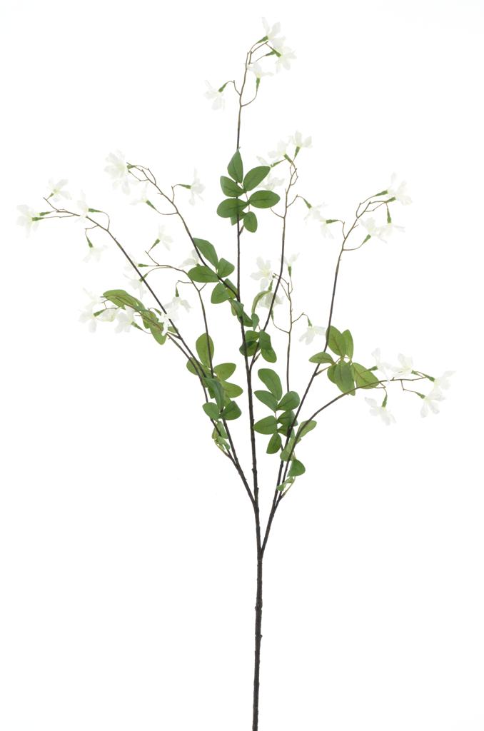 Lobelka (Lobelia) krémová V138 cm