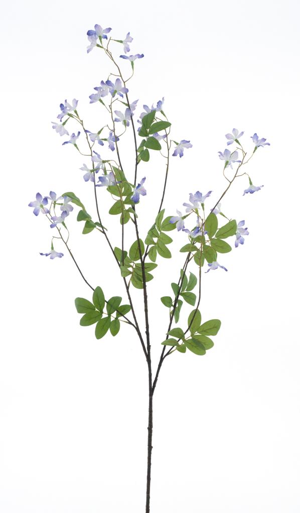 Lobelka (Lobelia) fialová V138 cm
