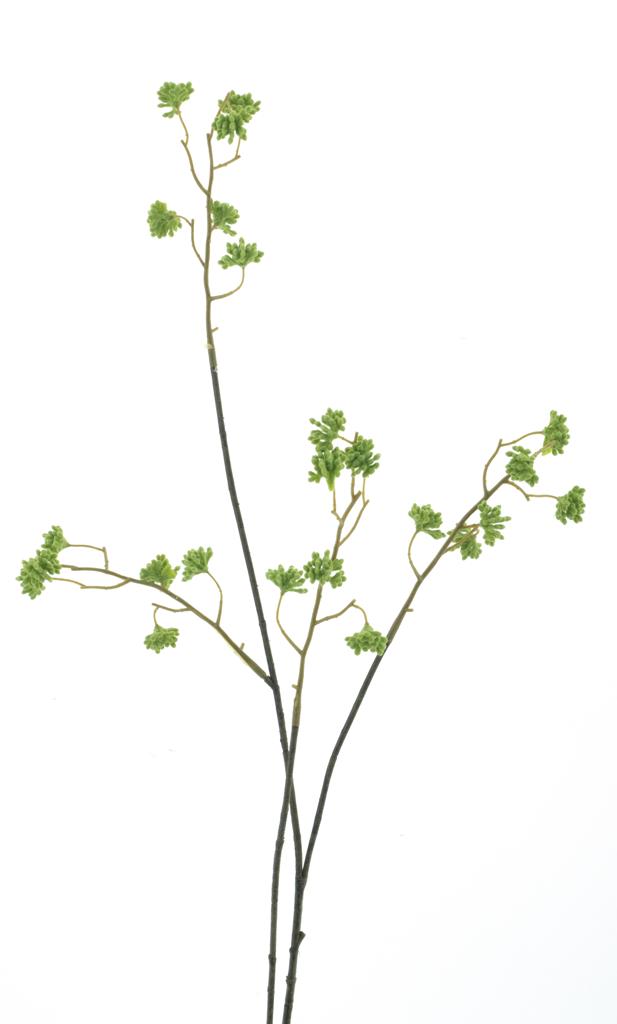 Gypsophila mini zelená V90 cm