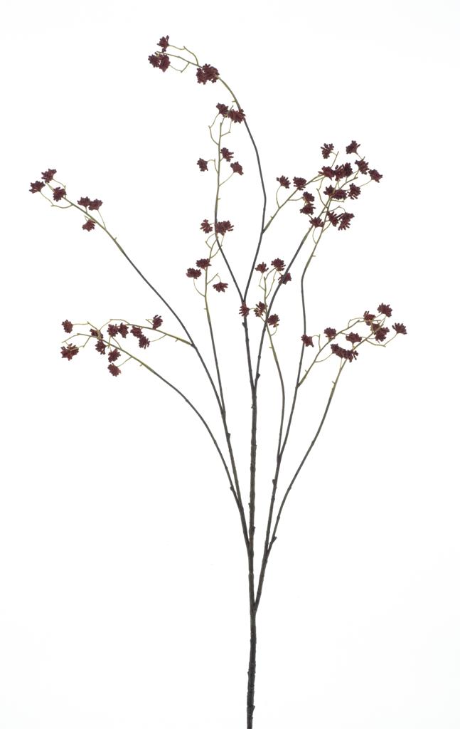 Gypsophila mini červená V135 cm