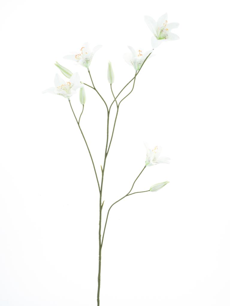 lilie-lilium krémová V106 cm