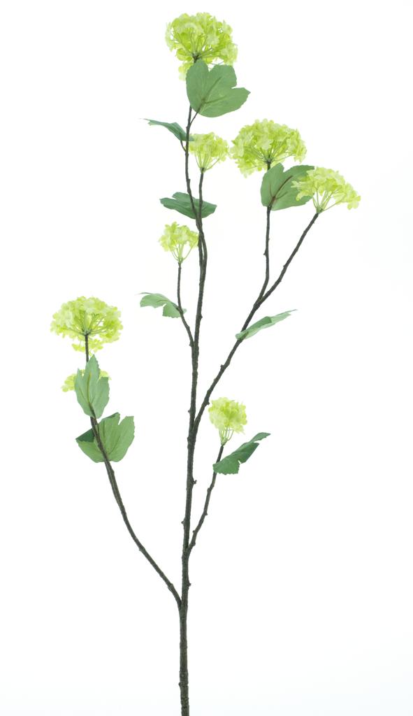 Větev 'Snowball Yoko' zelená V118 cm