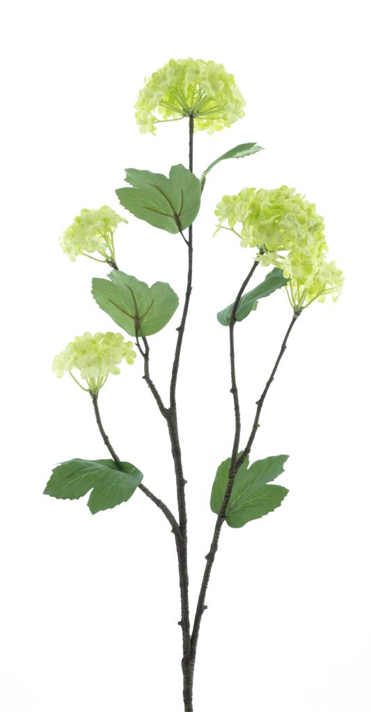 Větev 'Snowball Yoko' zelená V68 cm