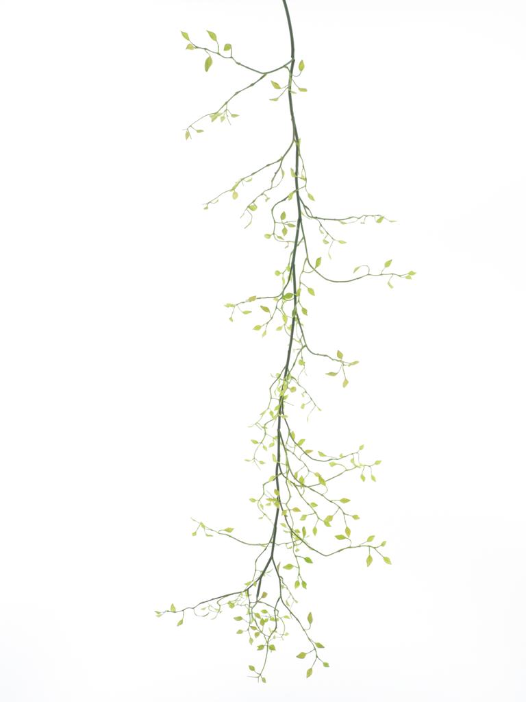 Zomolez (limocera) zelený V140 cm