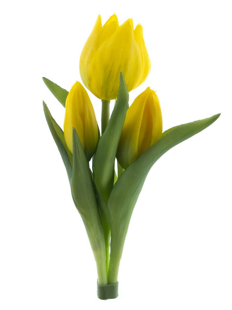 Tulipán x3 Sally' svazek zlutý V16 cm