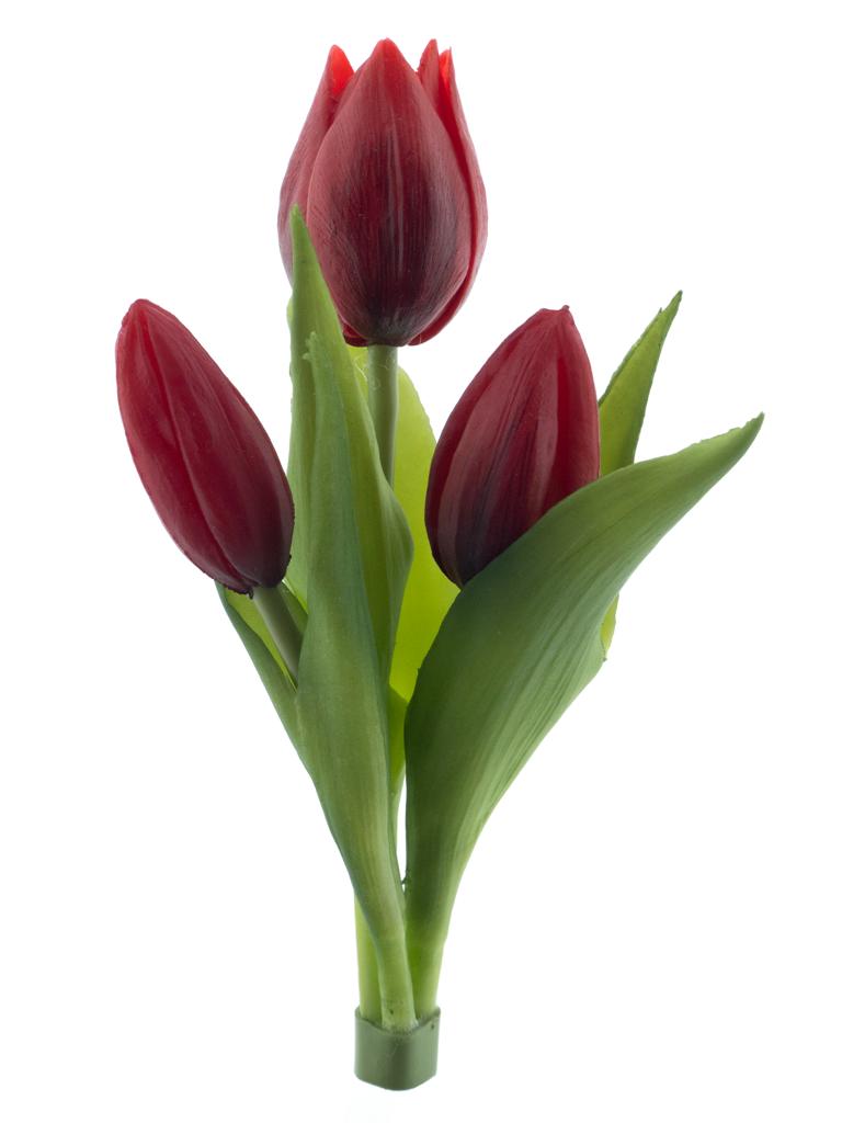 Tulipán x3 Sally' svazek červený V16 cm
