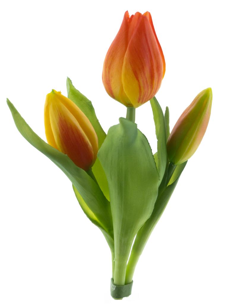Tulipán x3 Sally' svazek oranžový V16 cm