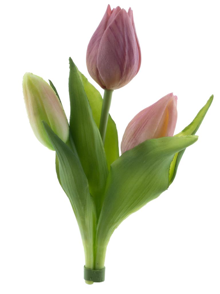 Tulipán x3 Sally' svazek růžový V16 cm