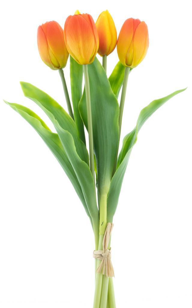 Tulipán Sally (5x) oranžový V36 cm