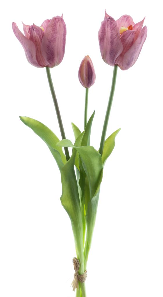 Tulipán 'Sally' svazek x3 fialová V43 cm