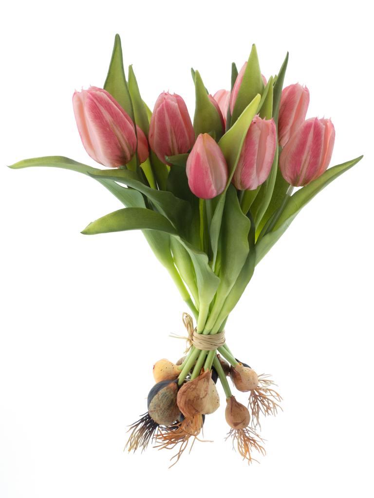 Tulipán 'Sally' svazek s cibulkou x12 růžová V33 cmžová V33 cm