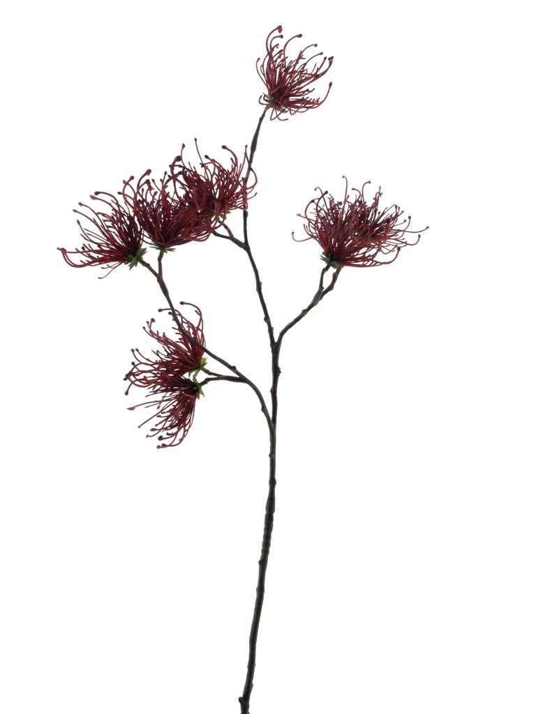 Větev Spider červená V70 cm