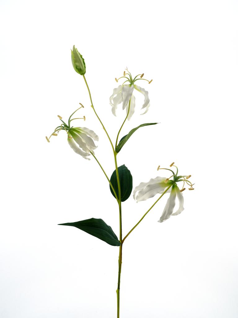 Gloriosa Lilie krémová V82 cm