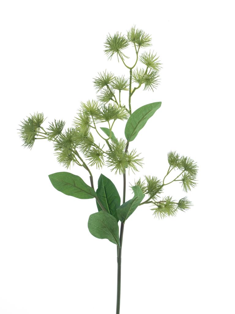 bodlák (thistle) zelený V79 cm