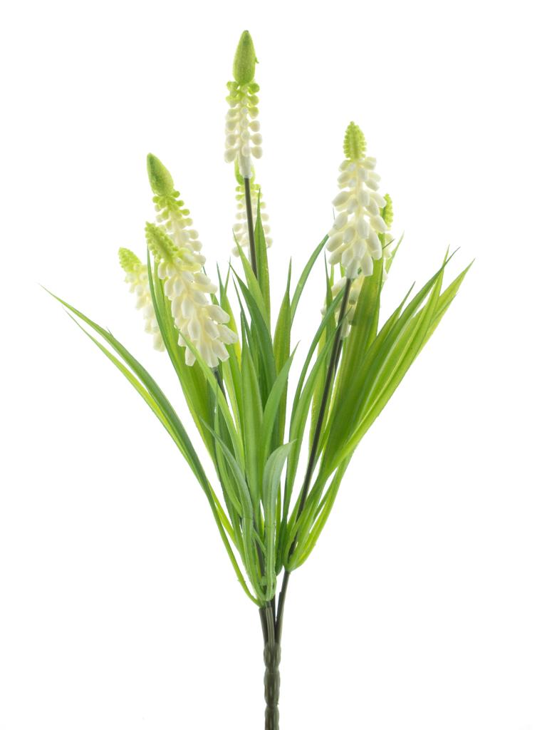 modřenec (muscari) keř kremový V31 cm