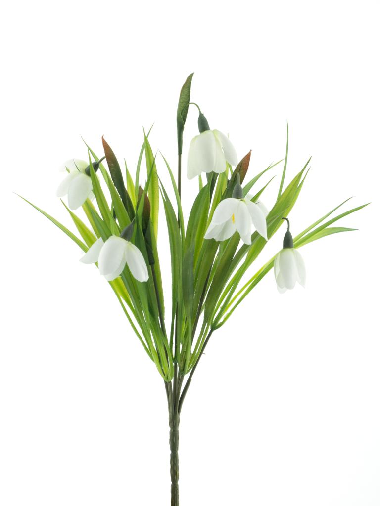 Sněženka keř krémová V30 cm