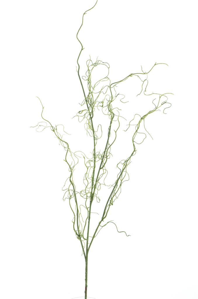 Kykatka - Tilandsie 'Momo' zelená V124 cm