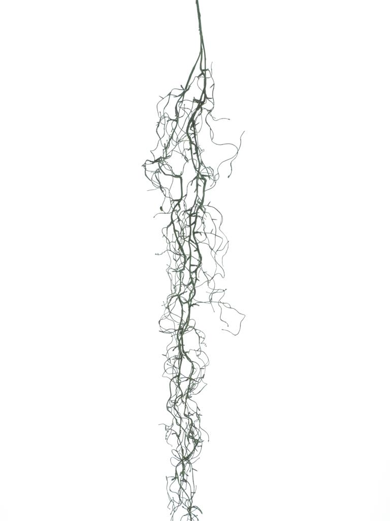 Líska (corylus) girlanda délka 171 cm