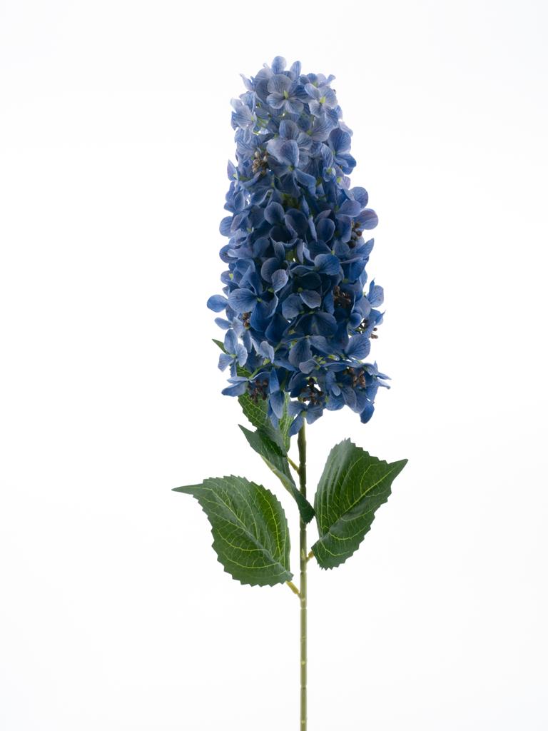 Šeřík - Syringa 'Luca' modrá V83 cm