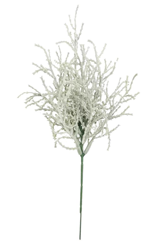 Svatolina šedá V22 cm
