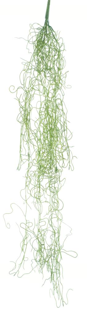 Zavěsná Kykatka - Tilandsie zelená V91 cm