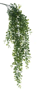 Japonský zimostráz (boxwood) závěsný zelený délka 90 cm