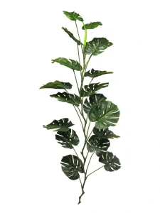 Monstera girlanda 'Jacinta' zelená délka 180 cm
