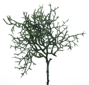 Mechová větvička zelená 40 cm