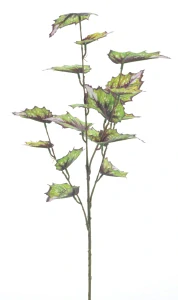 Begonie „Rex“ větev zelená 60 cm