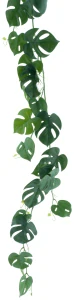 Monstera girlanda „Jazmin“ zelená 180 cm