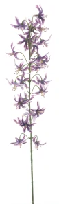 Nerina větev „Colorado“ vínová 105 cm