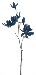 Japonská magnólie větev „Arsie“ modrá 77 cm