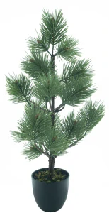 Borovice „Levis“ v květináči zelená 60 cm