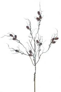 Přírodní větev se žaludem 88 cm