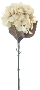 Hortenzie větev „Mendoza“ krémová 65 cm