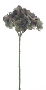 Hortenzie větev „Caseros“ zelená 48 cm