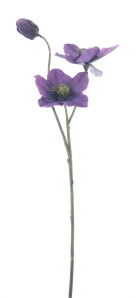 Čemeřice větvička „Caseros“ fialová 56 cm