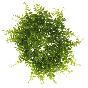 Věnec s kapradinou „Button fern“ zelený 38 cm