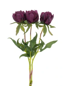 Pivoňka - Paeonia Marlie svazek 3 ks lilek 48 cm